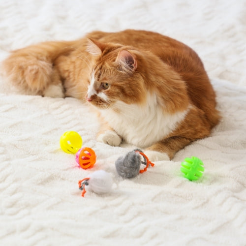 Toys & Entertainment