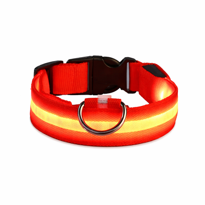 LED Dog Collar Nylon Flashing Glow in the Dark Night Safety Collar