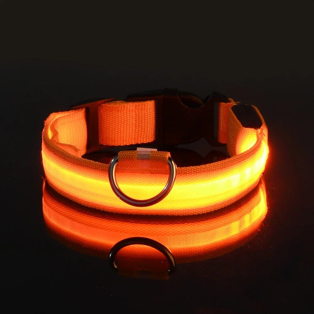 Orange / XS neck 28-38cm