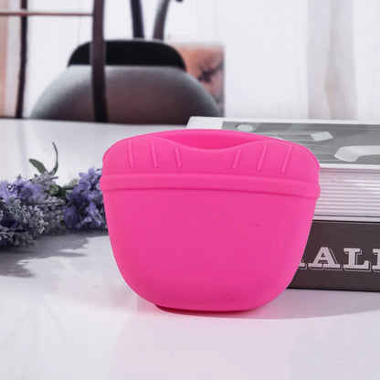 Portable Dog Training Treat Bag Waist Pouch Snack Storage for Pets