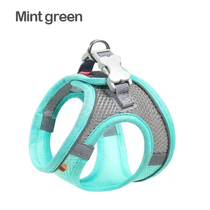 Green Harness / XS  1.5-2.5kg
