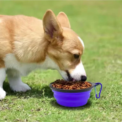 Collapsible Silicone Pet Food Bowl Portable Travel Dog Cat Water Bowl