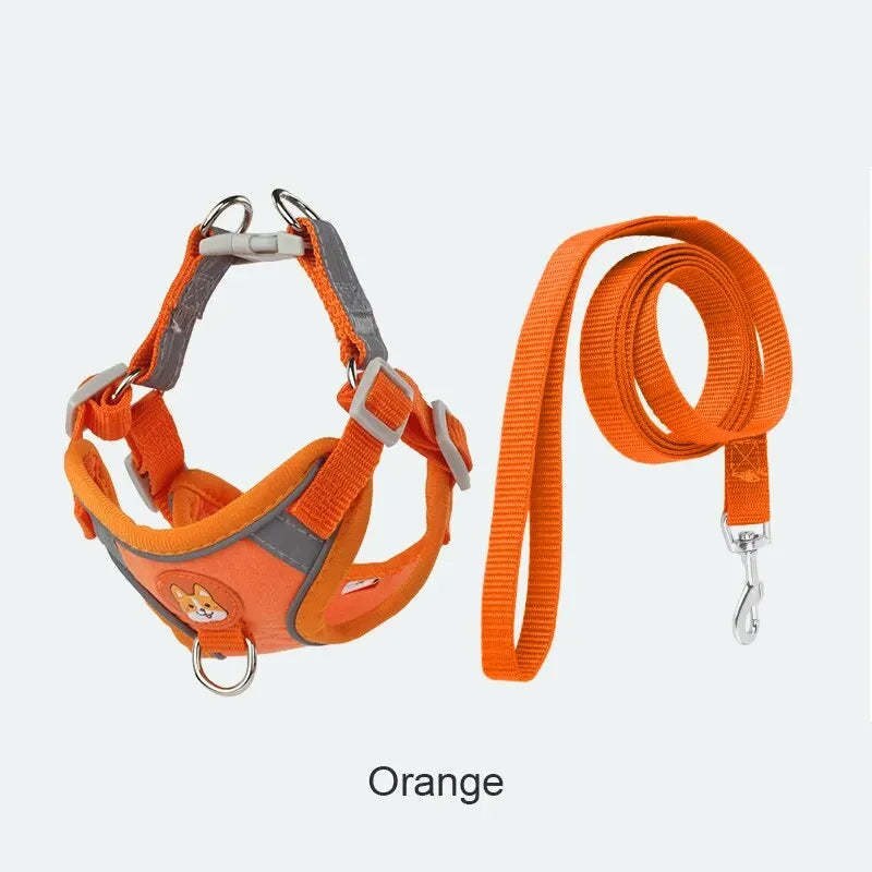 Orange / M 3-6kg