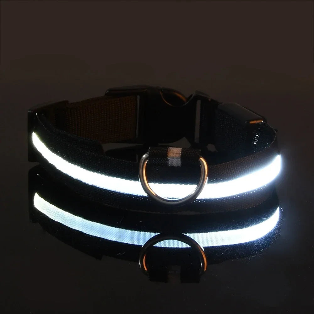 LED Dog Collar Nylon Flashing Glow in the Dark Night Safety Collar