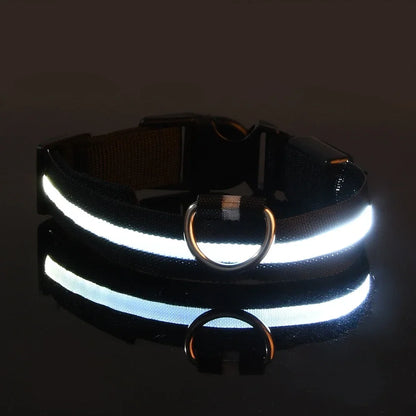 LED Dog Collar Nylon Flashing Glow in the Dark Night Safety Collar