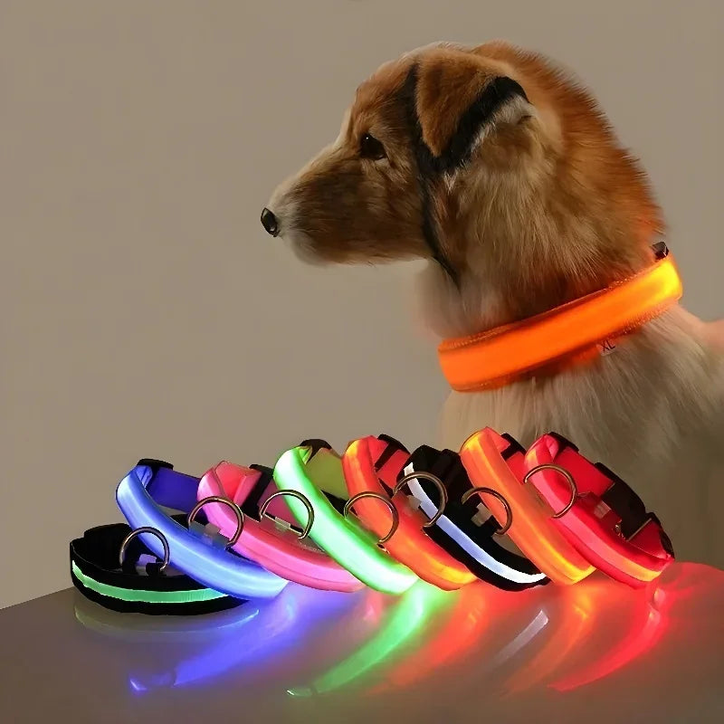 LED Dog Collar Nylon Flashing Glow in the Dark Night Safety Collar