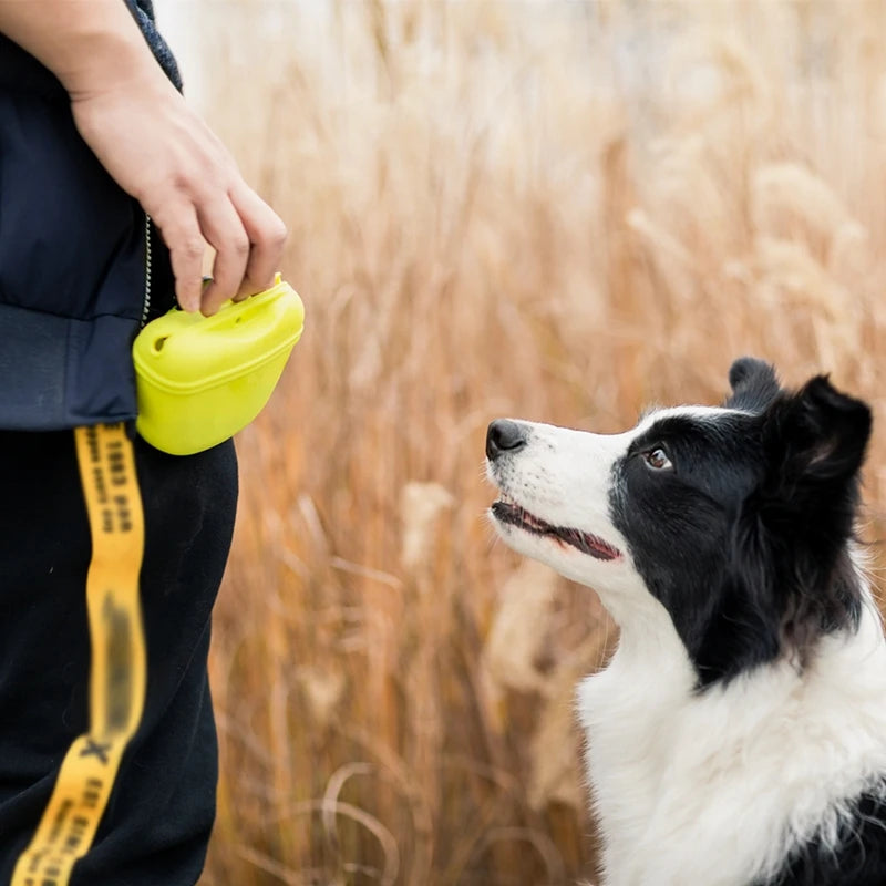 Portable Dog Training Treat Bag Waist Pouch Snack Storage for Pets