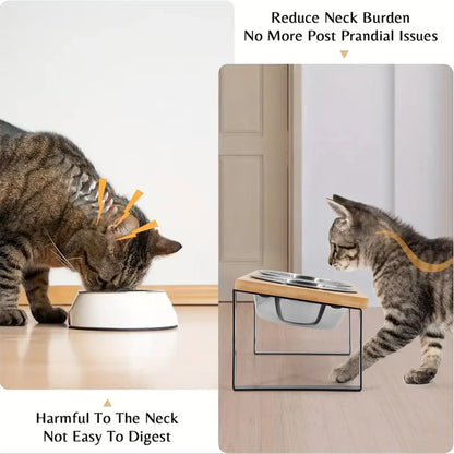 Elevated Cat Bowls 15° Tilted Raised Food Bowls with Wooden Stand