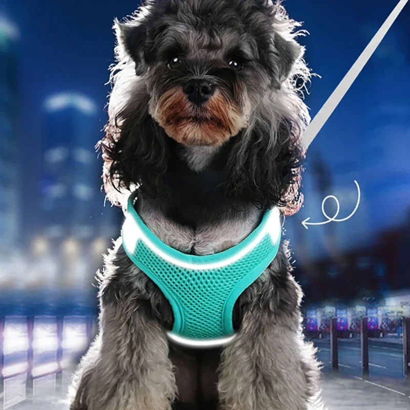 Reflective Pet Harness Vest Adjustable Breathable Dog Cat Leash Set