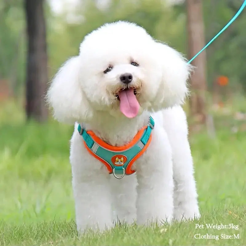 Pet Suede Harness Vest Reflective Dog Cat Leash Set Adjustable